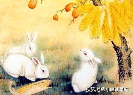 老鼠偷瓜在田中龙兔旁站有一蛇打一生肖,警惕虚假宣传,专家解答解释落实