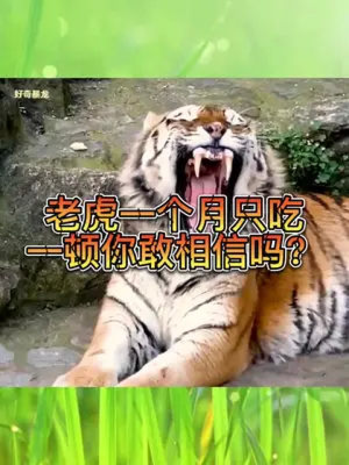 西出阳关无故人,龙蛇作伴谁敢跟是什么生肖打一动物,警惕虚假宣传,实证解答解释落实