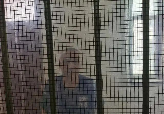 徇私枉法打一生肖，详细解答、统计解答解释落实