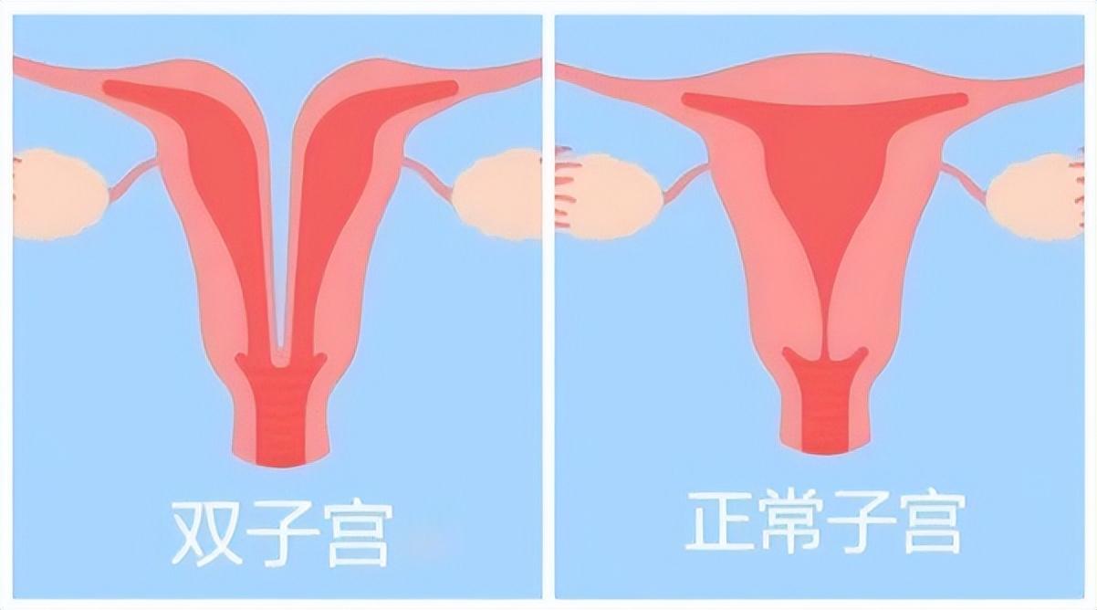 今期生肖出冷门，四十相送八过关打一准确生肖，详细解答、实证解答解释落实
